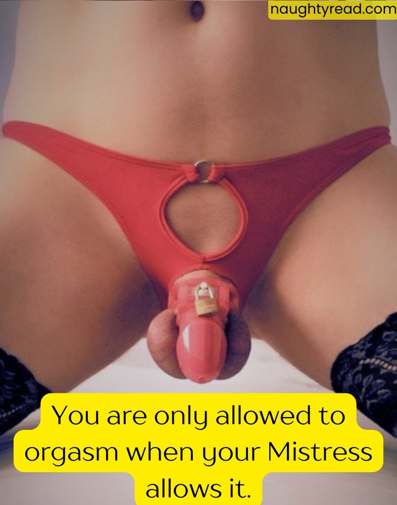 Making her sissy husband a gimp caption